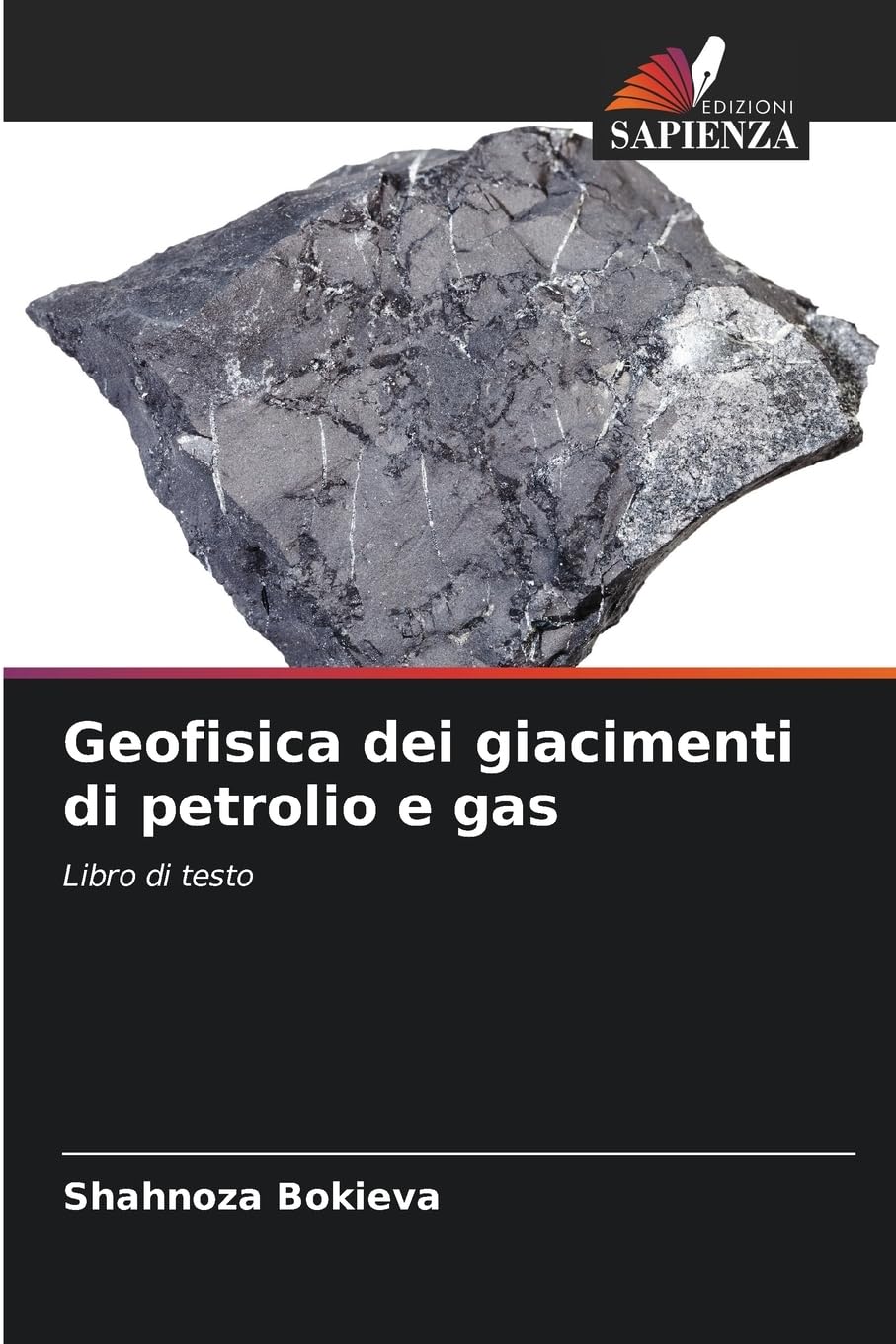 Geofisica dei giacimenti di petrolio e gas Business & Technology