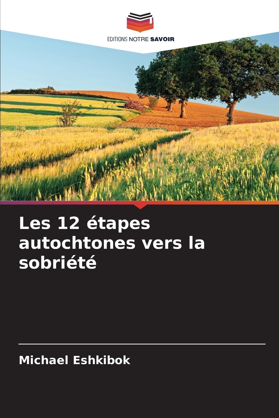 Les 12 étapes autochtones vers la sobriété Law