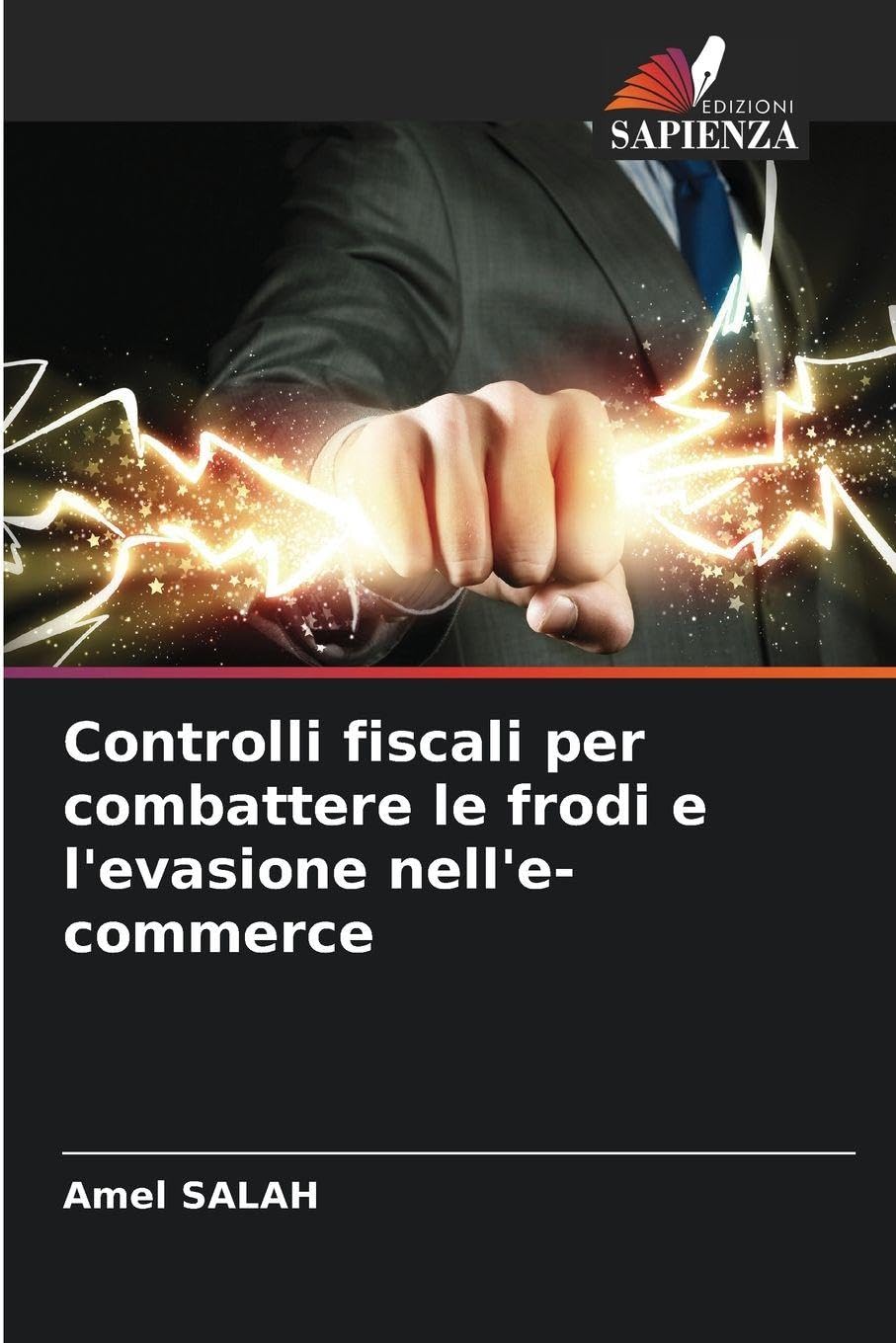 Controlli fiscali per combattere le frodi e l'evasione nell'e-commerce Law