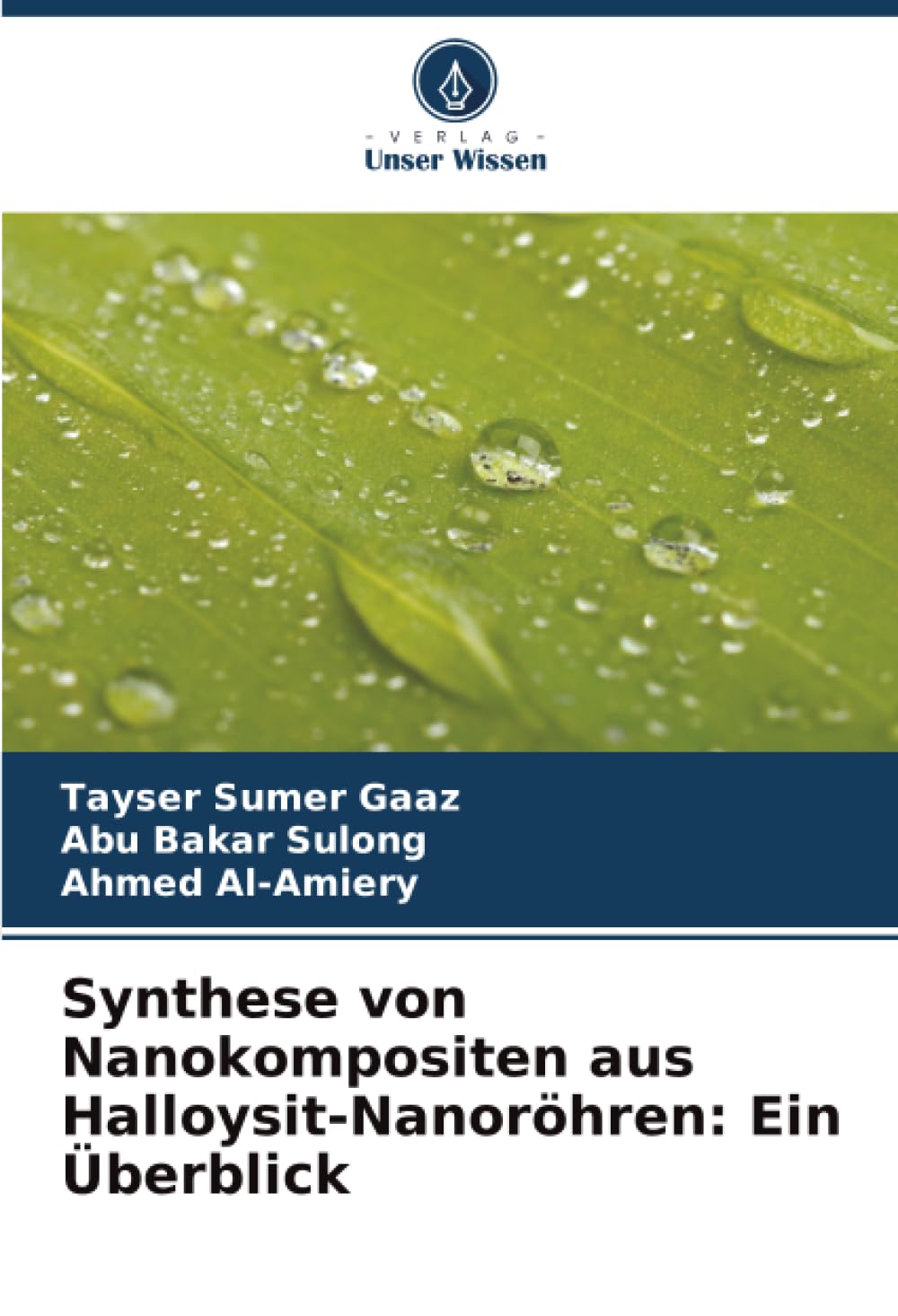 Synthese von Nanokompositen aus Halloysit-Nanoröhren: Ein Überblick Business & Technology