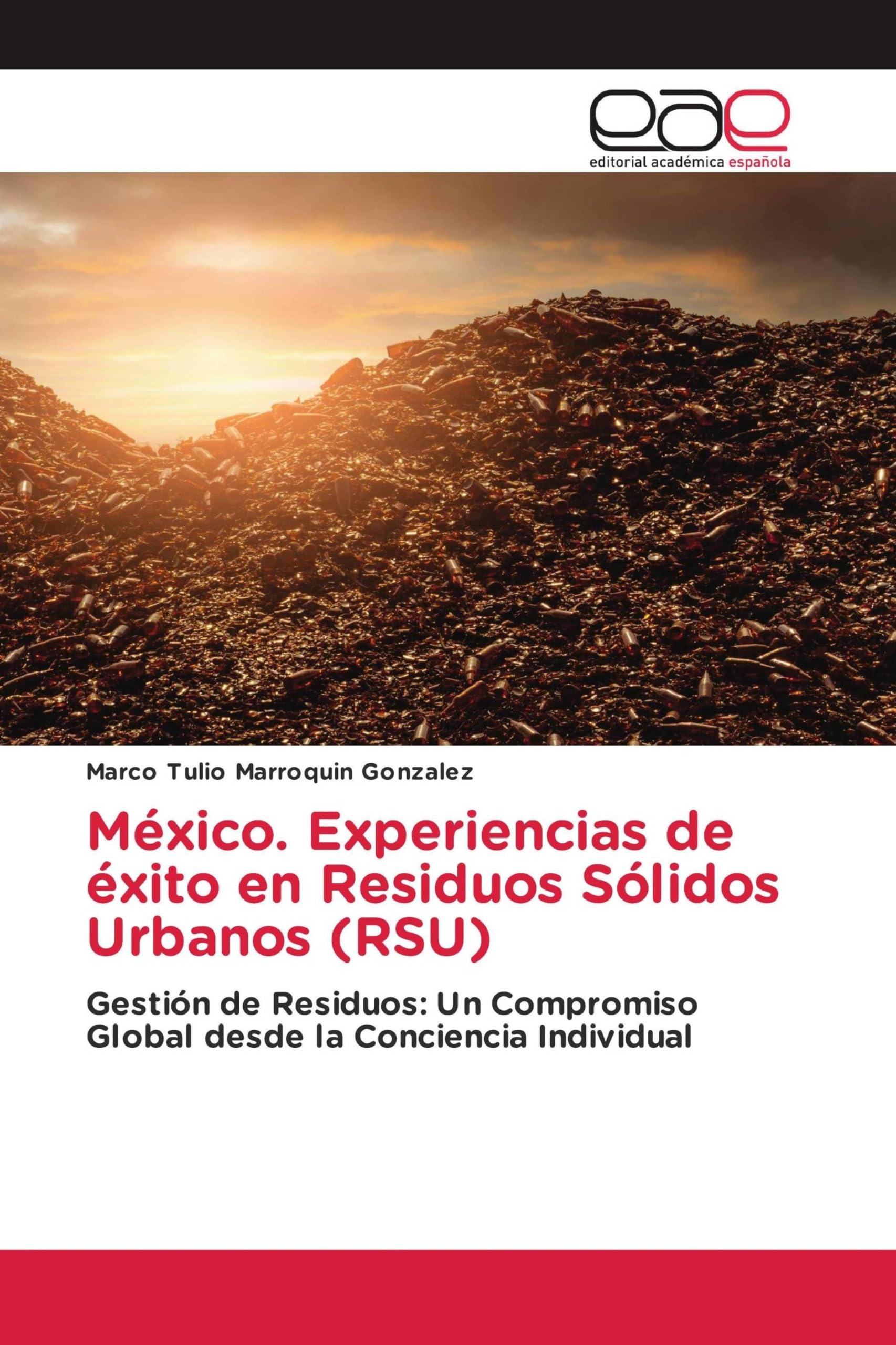 México. Experiencias de éxito en Residuos Sólidos Urbanos (RSU) Business & Technology