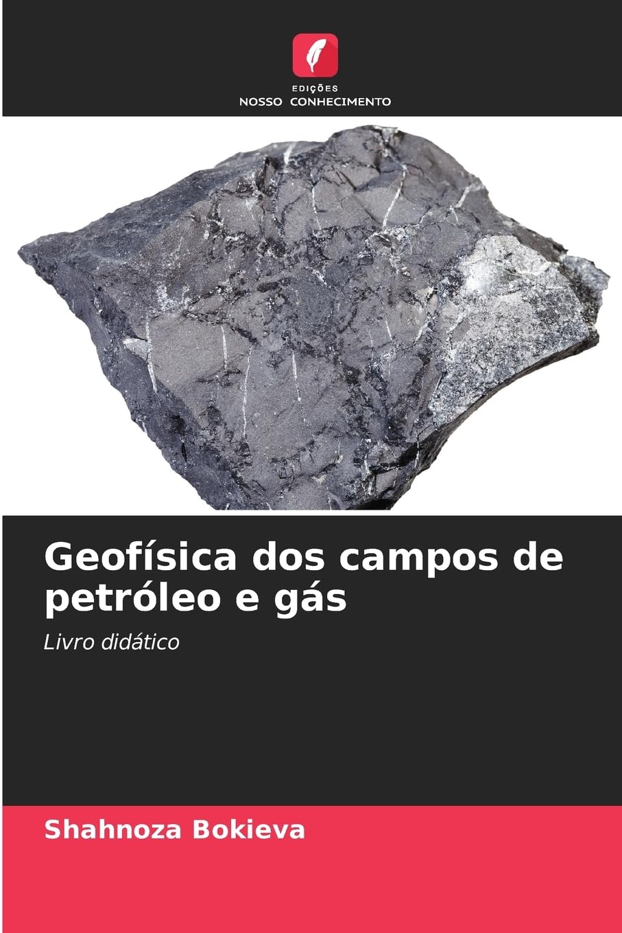 Geofísica dos campos de petróleo e gás Business & Technology