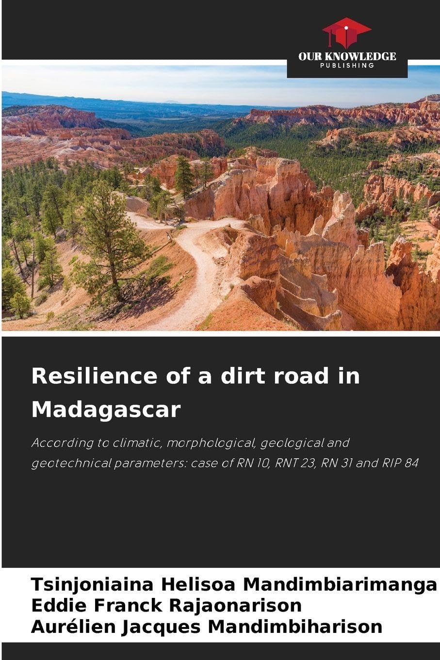 Resilience of a dirt road in Madagascar Business & Technology