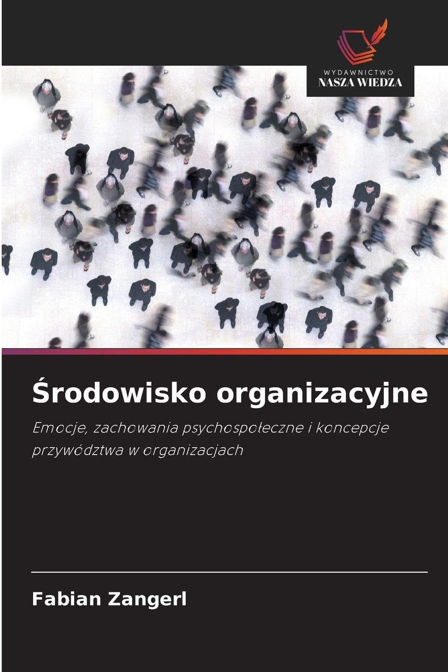 ¿rodowisko organizacyjne Law