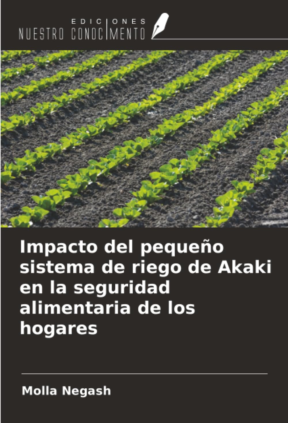 Impacto del pequeño sistema de riego de Akaki en la seguridad alimentaria de los hogares Law