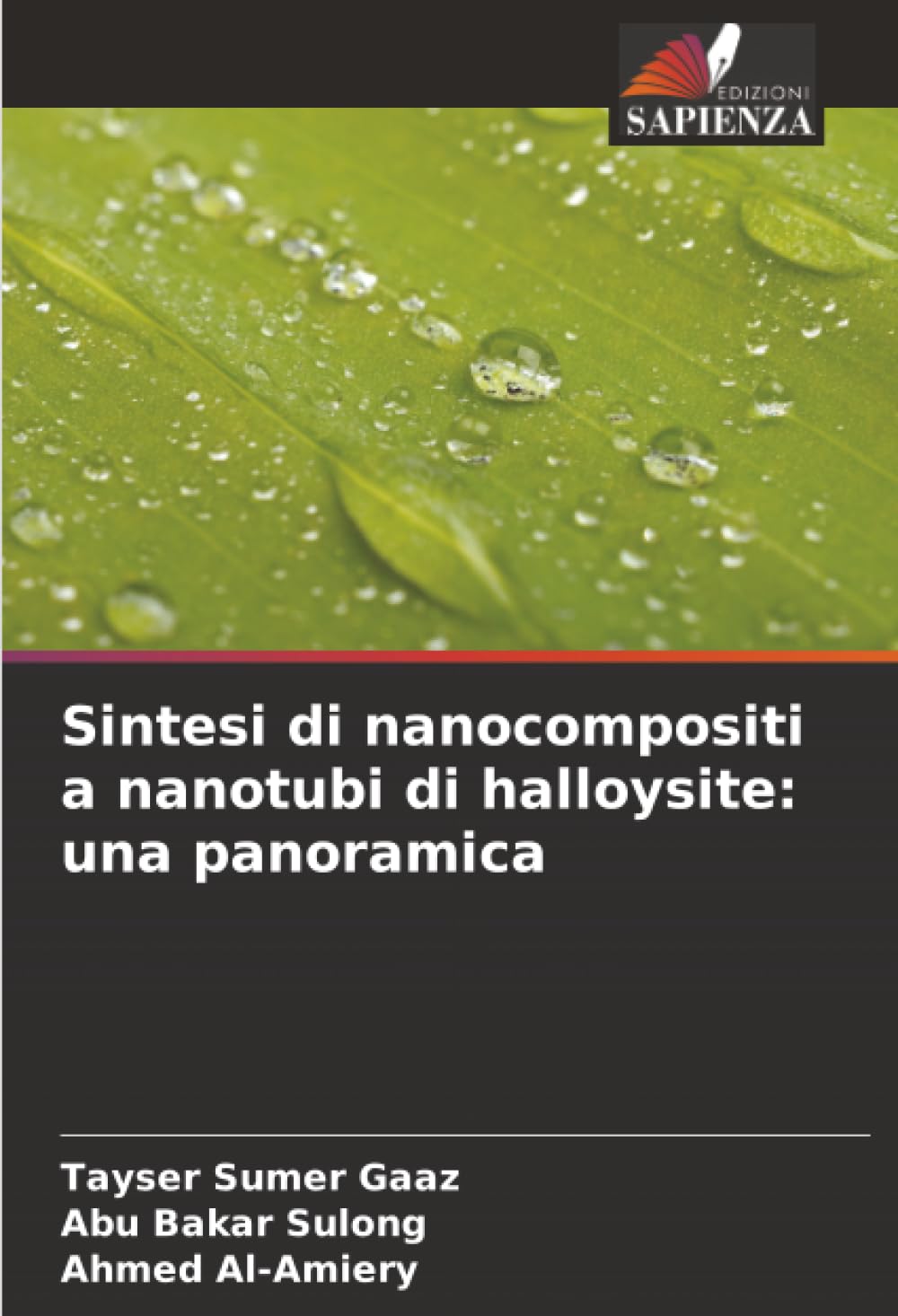 Sintesi di nanocompositi a nanotubi di halloysite: una panoramica Business & Technology