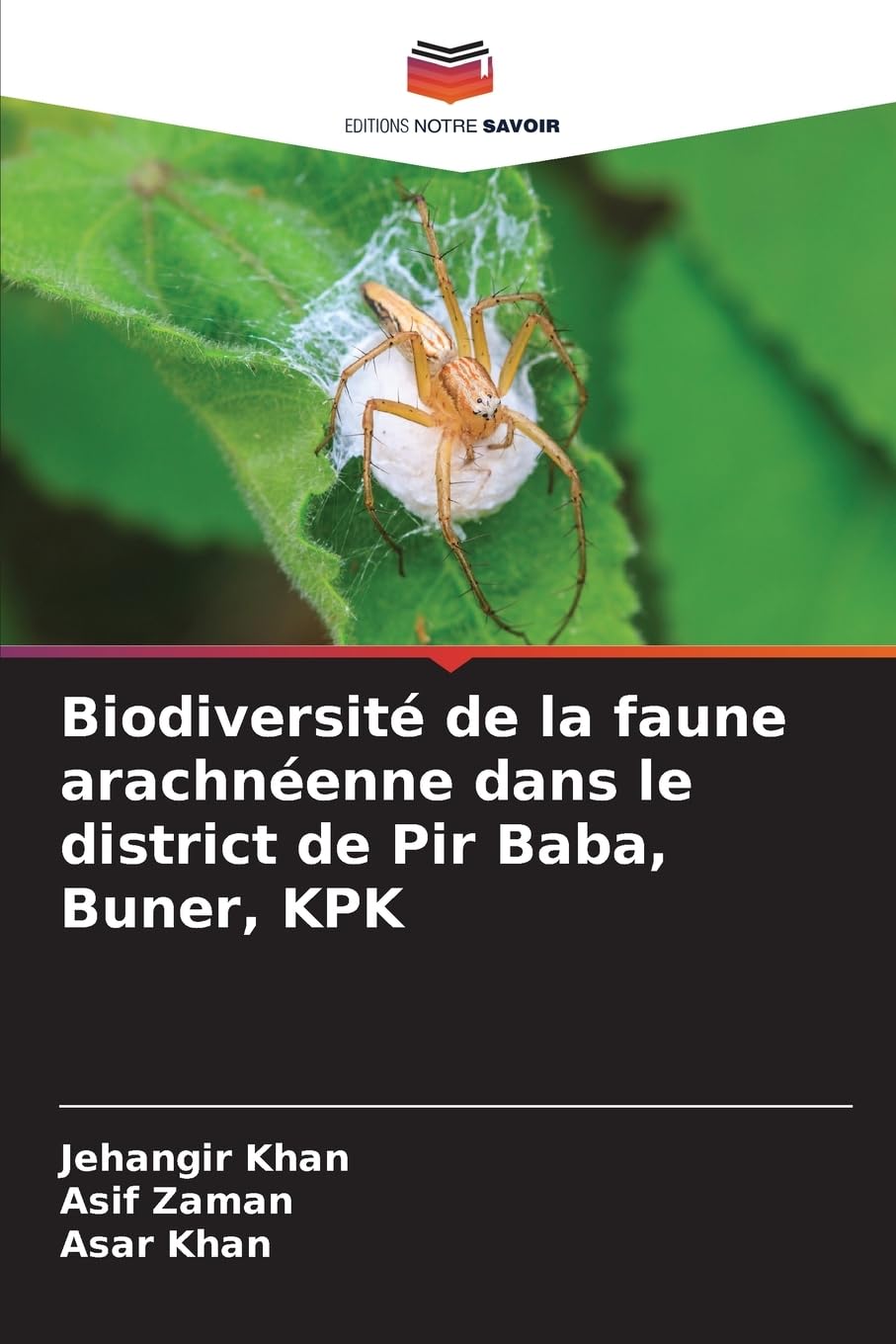 Biodiversité de la faune arachnéenne dans le district de Pir Baba, Buner, KPK Natural Sciences
