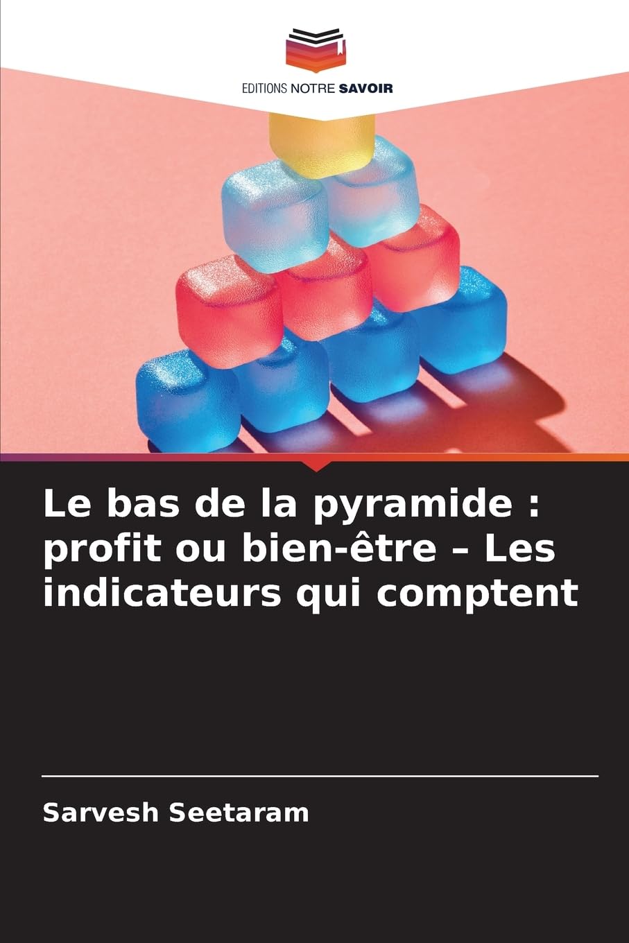 Le bas de la pyramide : profit ou bien-être - Les indicateurs qui comptent Law