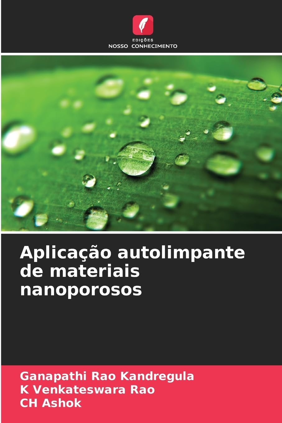 Aplicação autolimpante de materiais nanoporosos Business & Technology