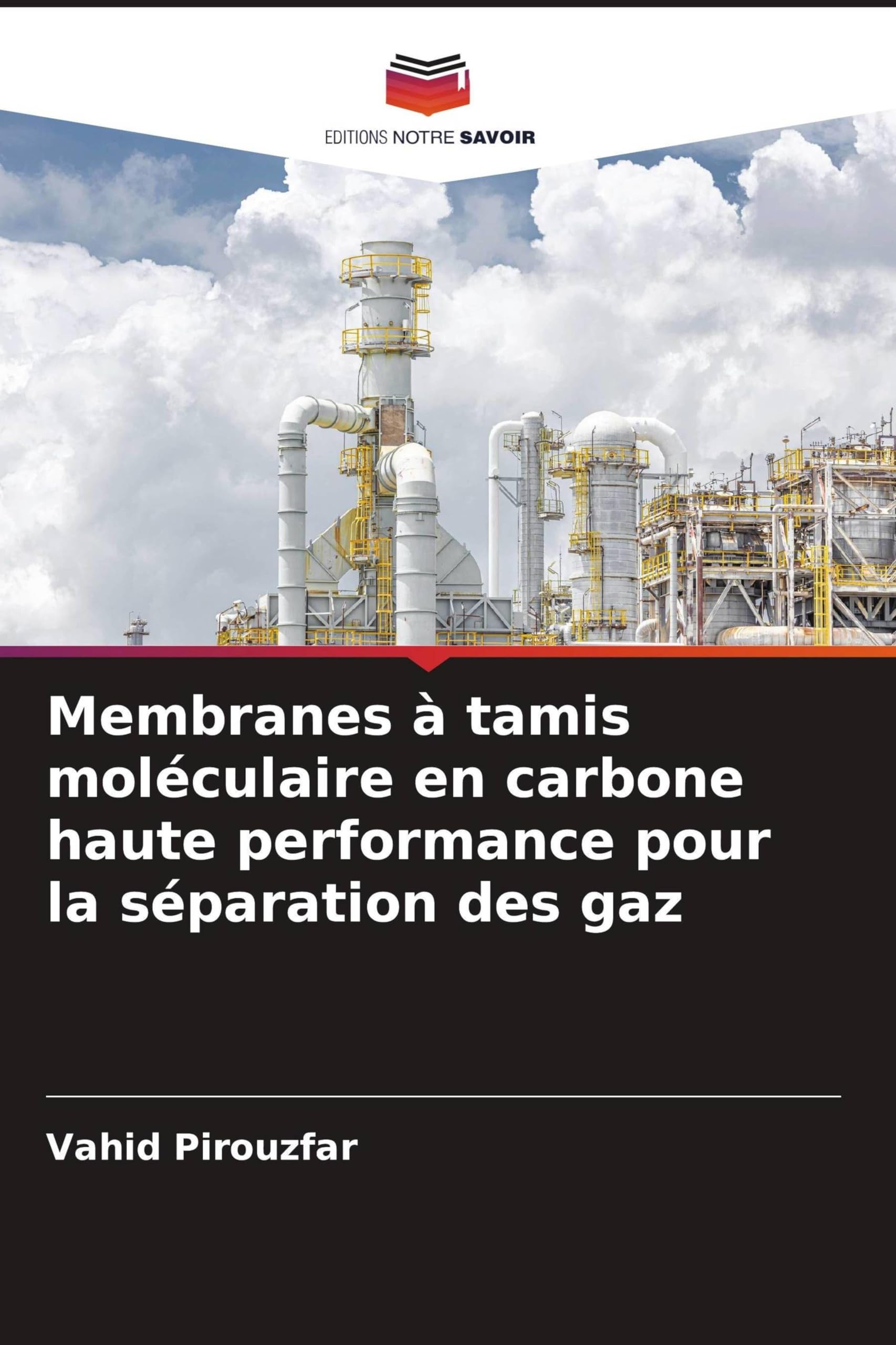Membranes à tamis moléculaire en carbone haute performance pour la séparation des gaz Business & Technology