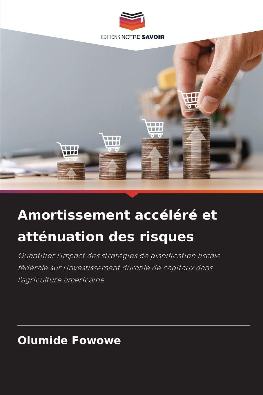 Amortissement accéléré et atténuation des risques Law