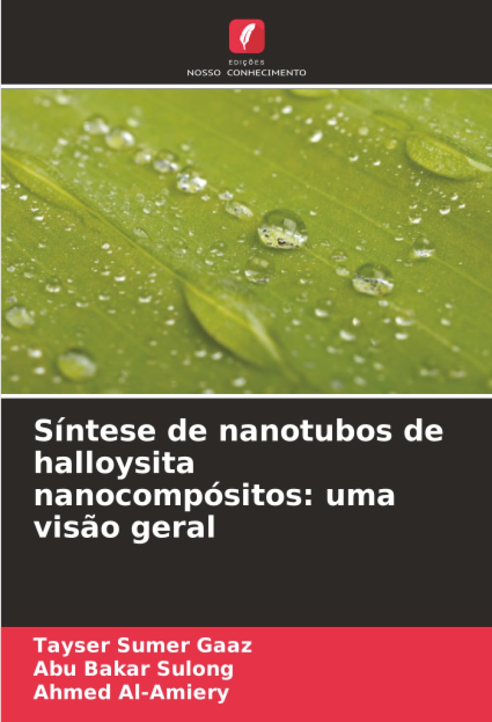 Síntese de nanotubos de halloysita nanocompósitos: uma visão geral Business & Technology