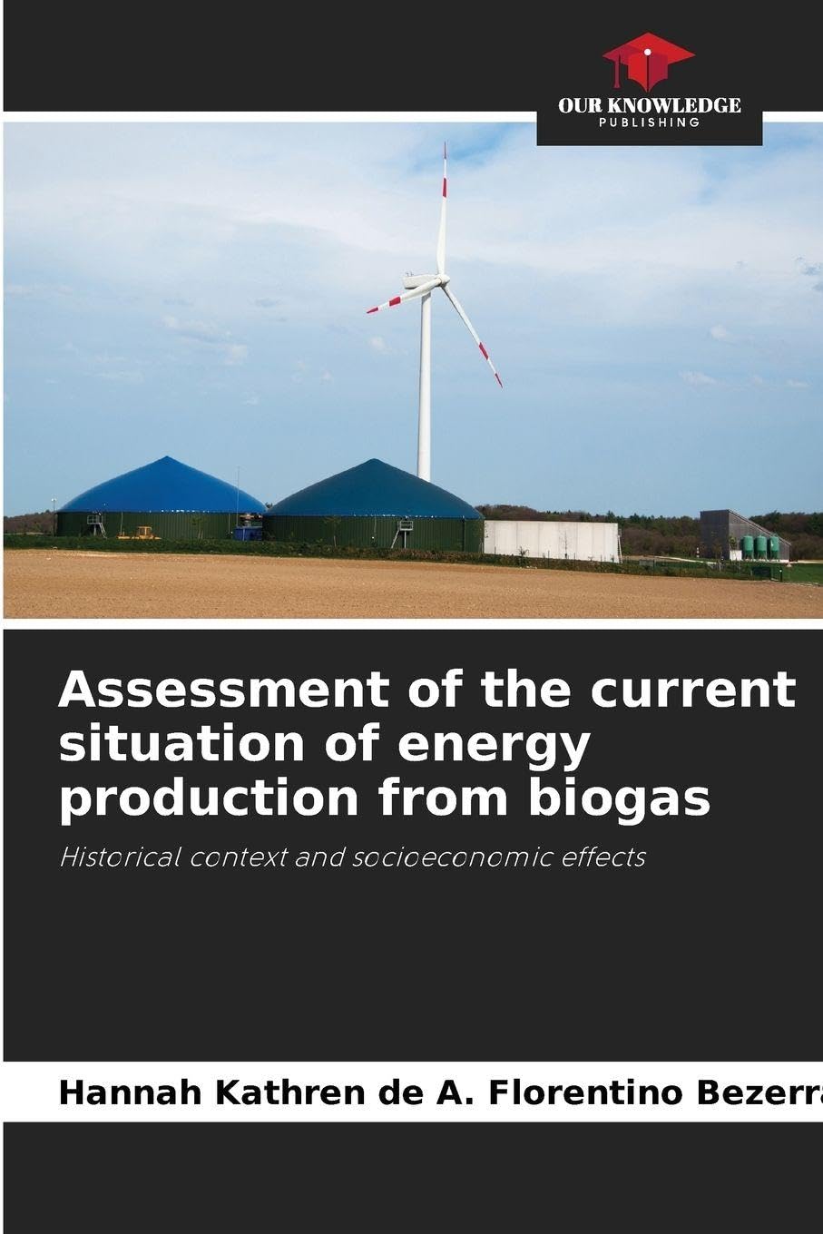 Assessment of the current situation of energy production from biogas Business & Technology