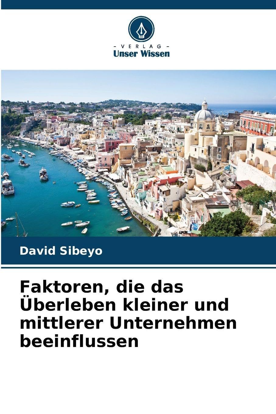 Faktoren, die das Überleben kleiner und mittlerer Unternehmen beeinflussen Law