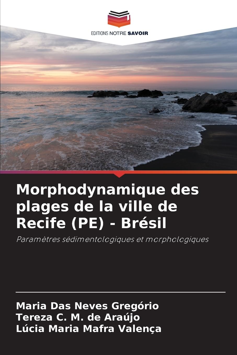 Morphodynamique des plages de la ville de Recife (PE) - Brésil Business & Technology