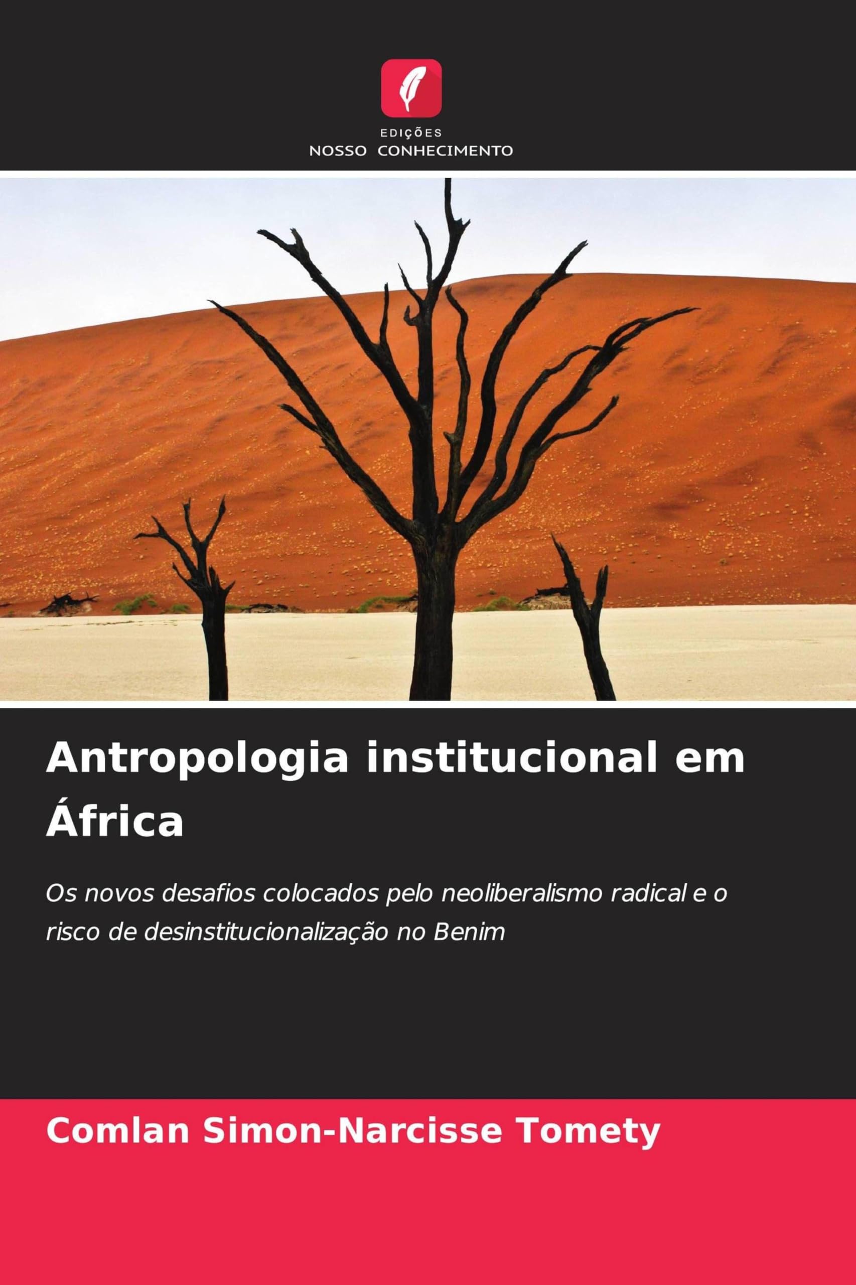 Antropologia institucional em África Law