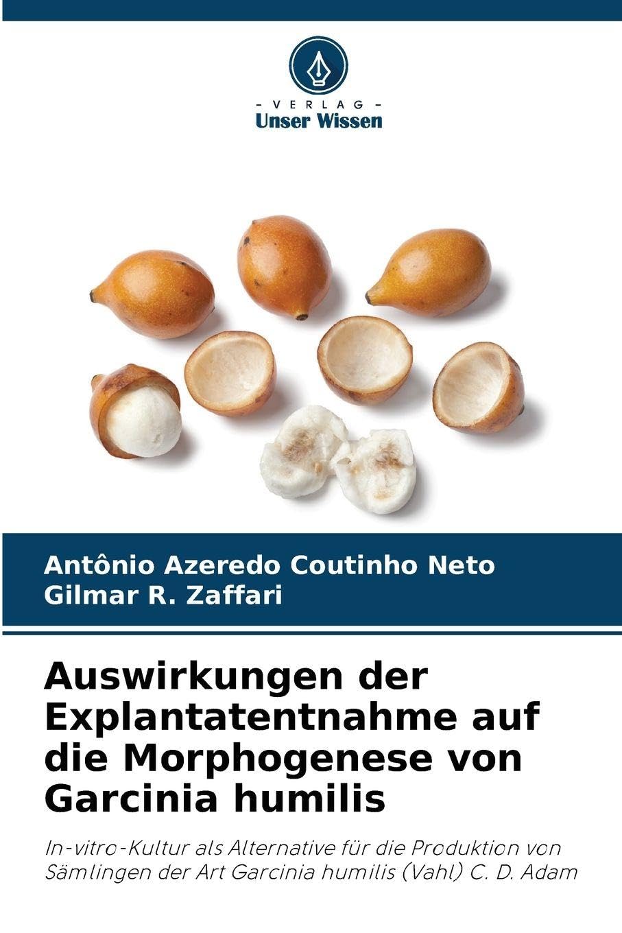 Auswirkungen der Explantatentnahme auf die Morphogenese von Garcinia humilis Natural Sciences