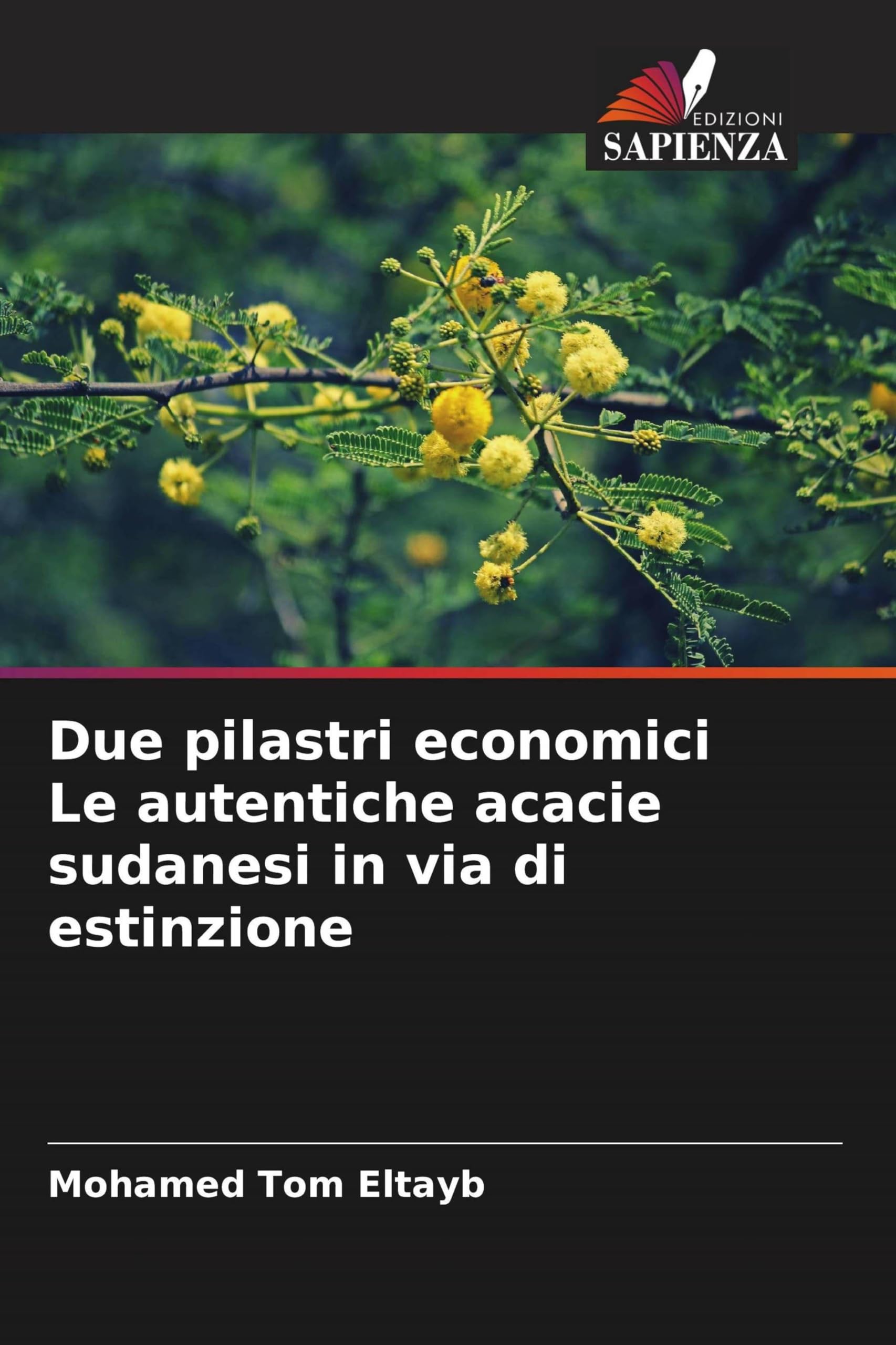 Due pilastri economici Le autentiche acacie sudanesi in via di estinzione Natural Sciences