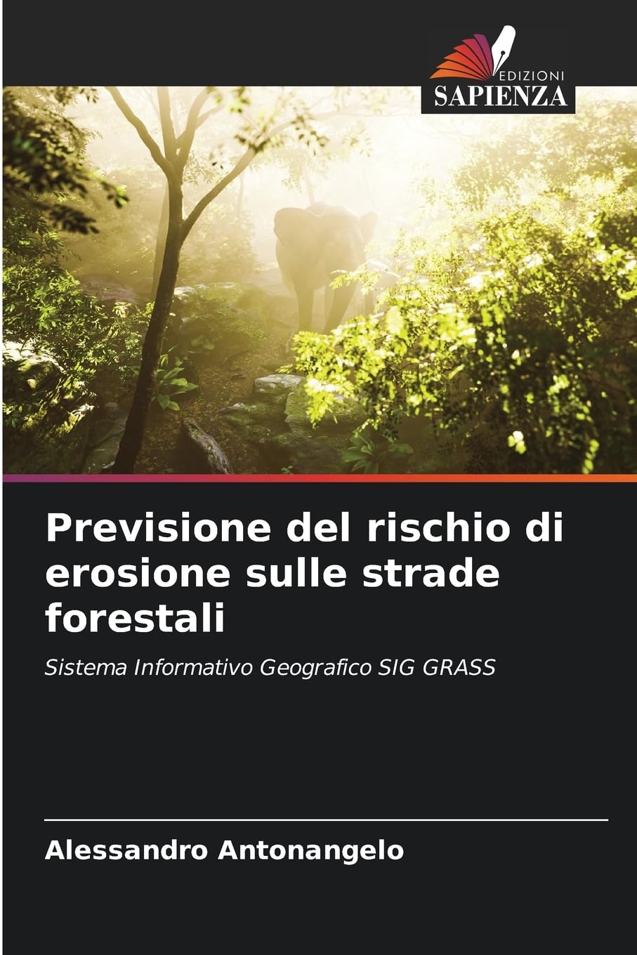 Previsione del rischio di erosione sulle strade forestali Natural Sciences
