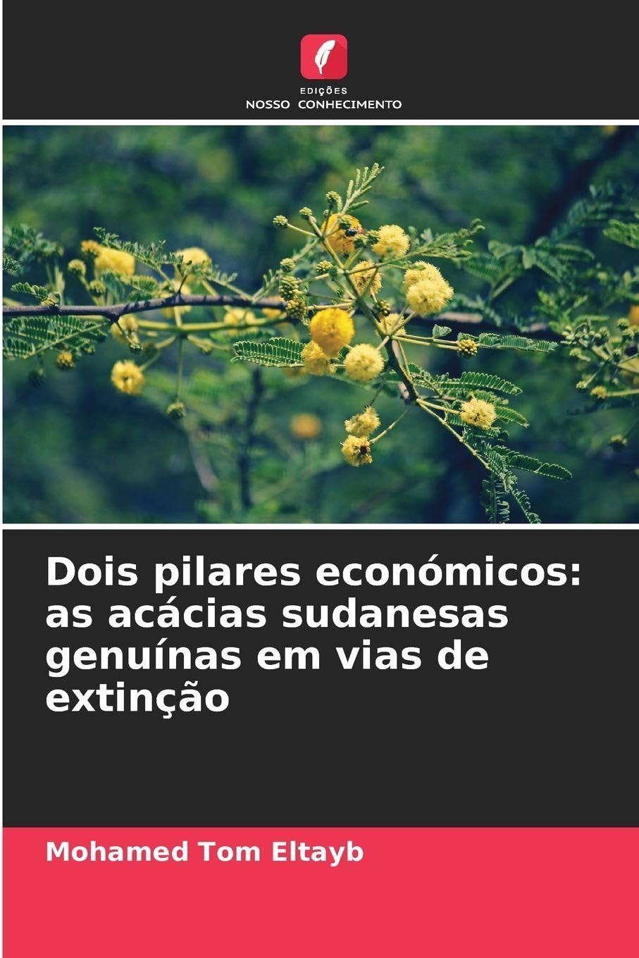 Dois pilares económicos: as acácias sudanesas genuínas em vias de extinção Natural Sciences