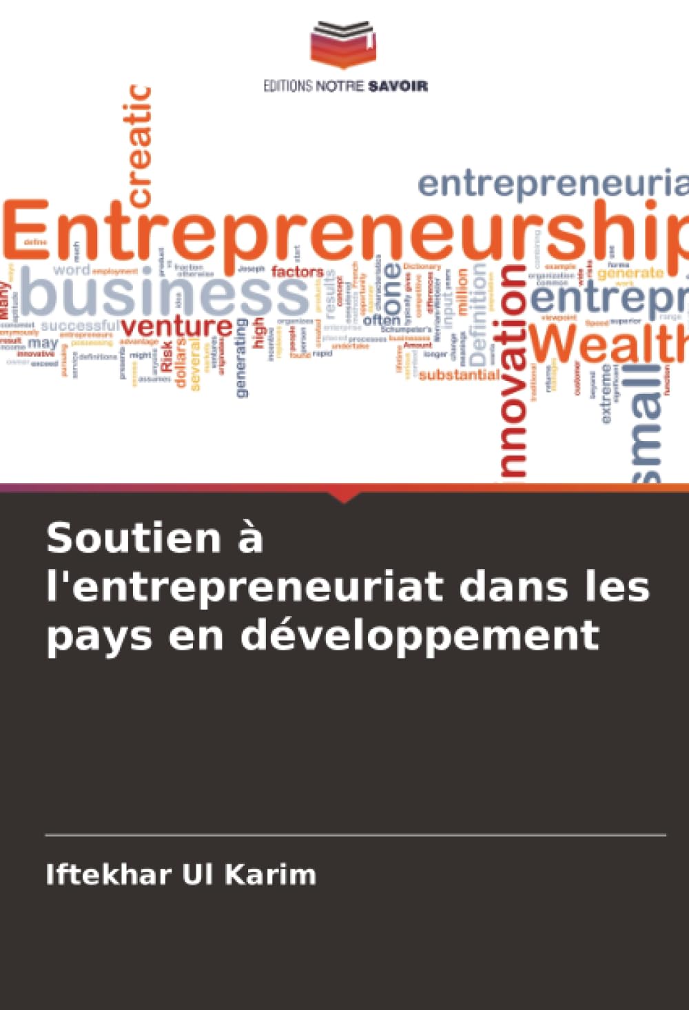 Soutien à l'entrepreneuriat dans les pays en développement Law