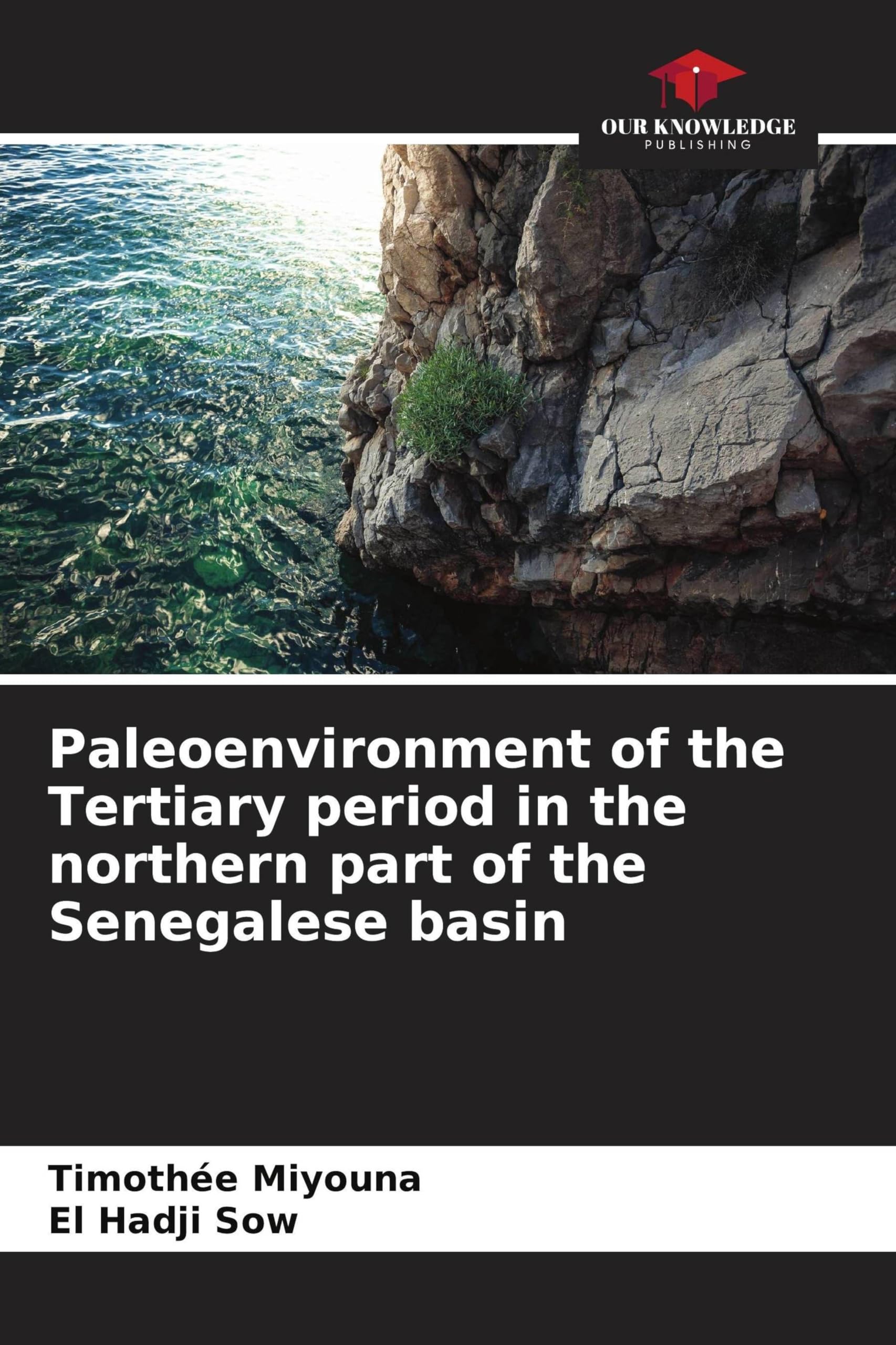 Paleoenvironment of the Tertiary period in the northern part of the Senegalese basin Business & Technology