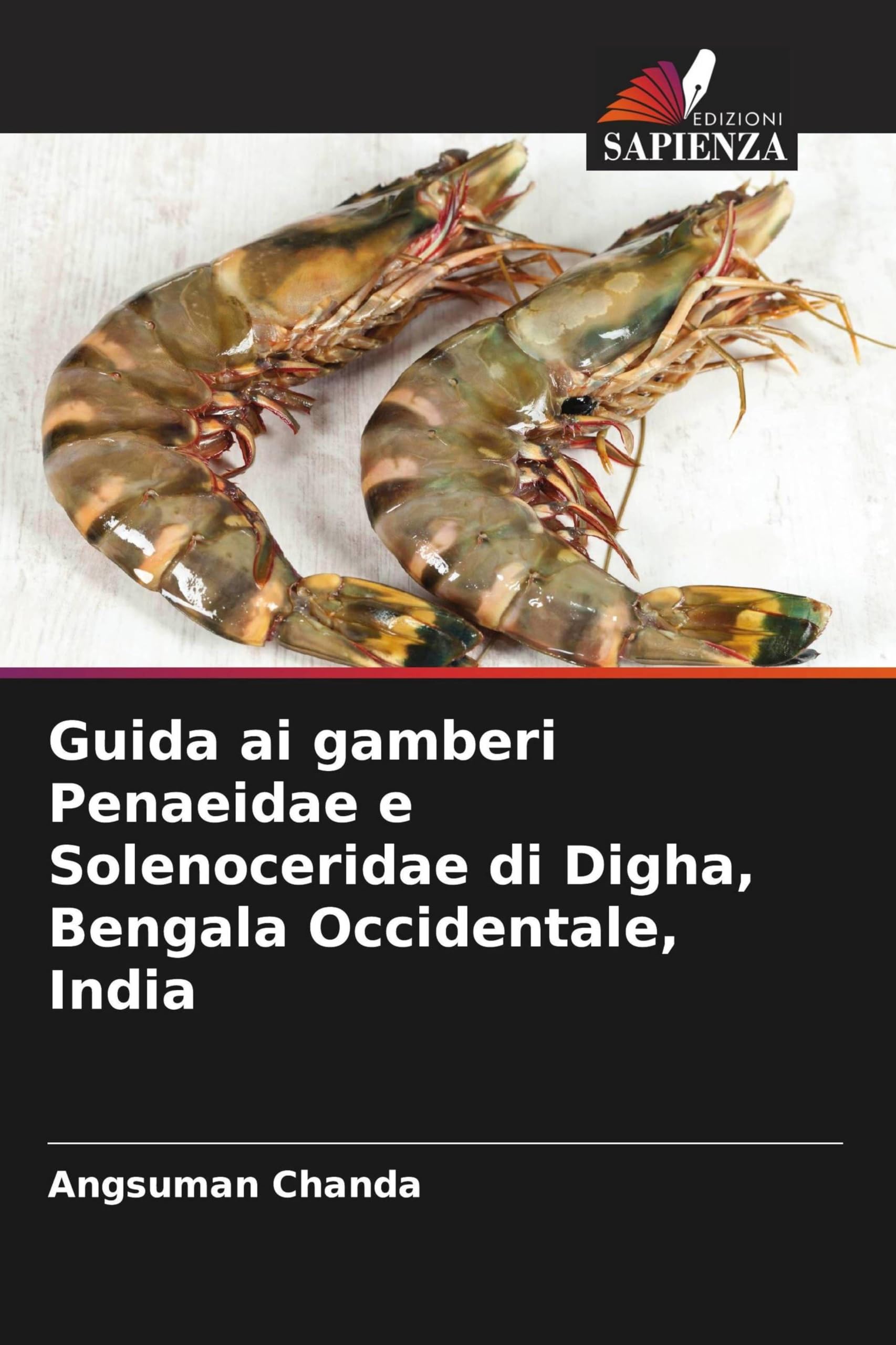 Guida ai gamberi Penaeidae e Solenoceridae di Digha, Bengala Occidentale, India Natural Sciences