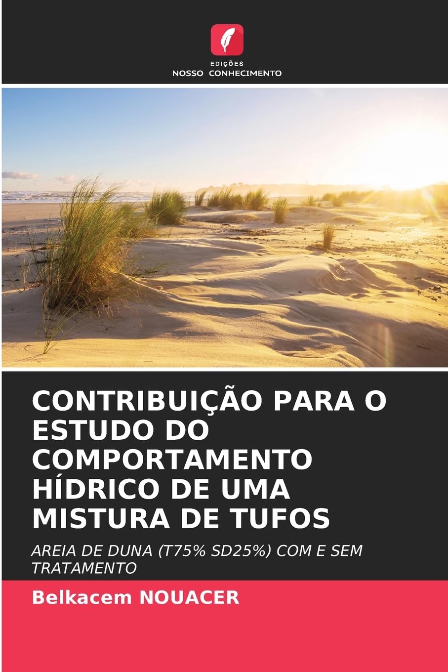 CONTRIBUIÇÃO PARA O ESTUDO DO COMPORTAMENTO HÍDRICO DE UMA MISTURA DE TUFOS Natural Sciences