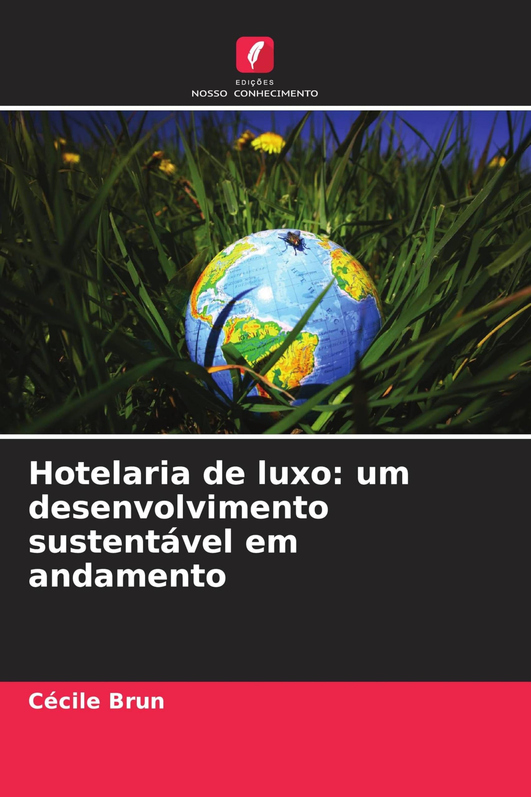 Hotelaria de luxo: um desenvolvimento sustentável em andamento Natural Sciences