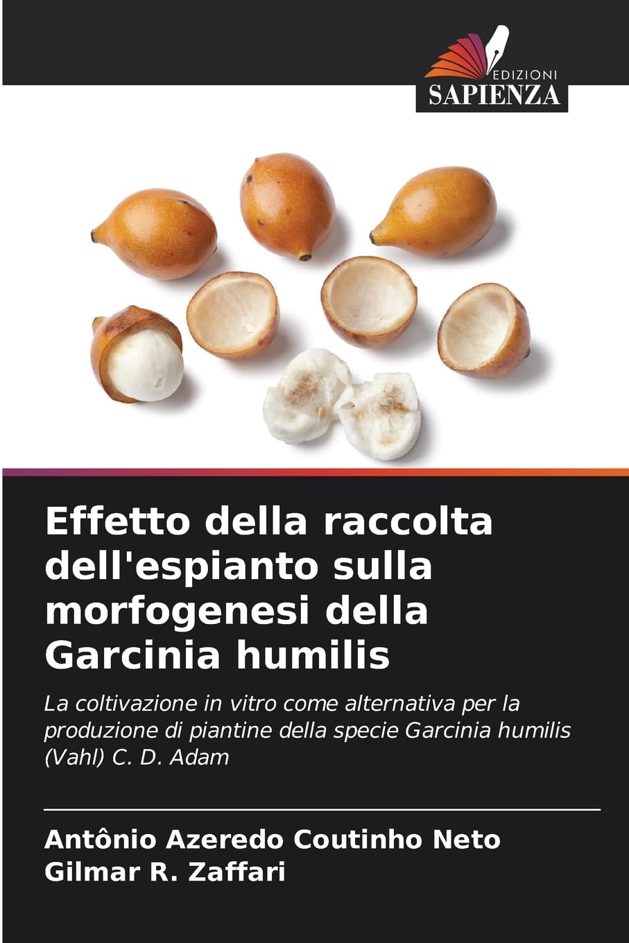 Effetto della raccolta dell'espianto sulla morfogenesi della Garcinia humilis Natural Sciences
