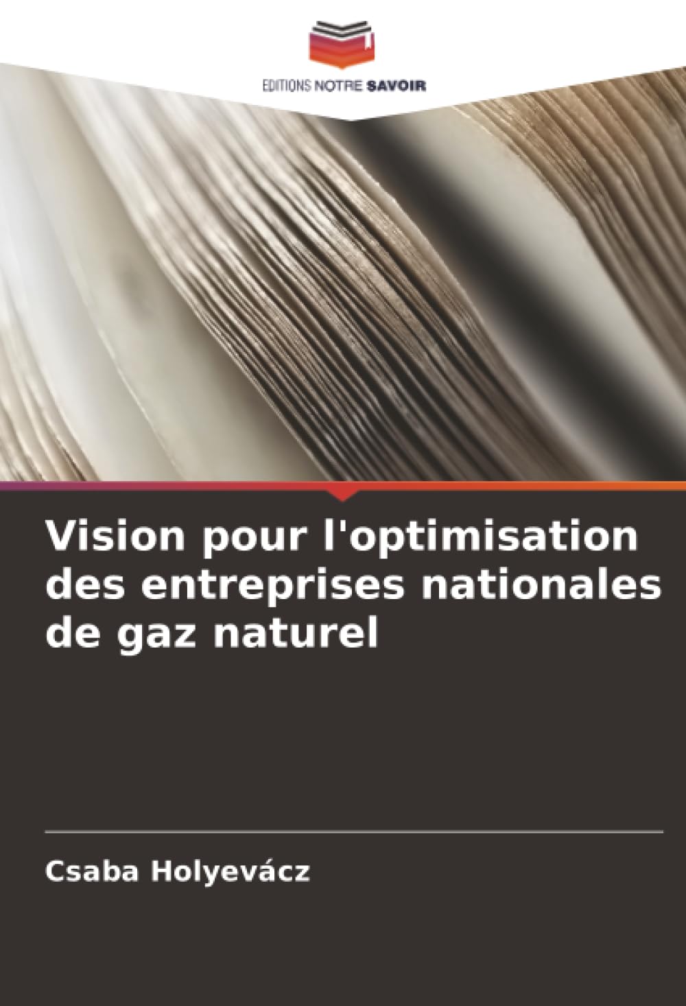 Vision pour l'optimisation des entreprises nationales de gaz naturel Law
