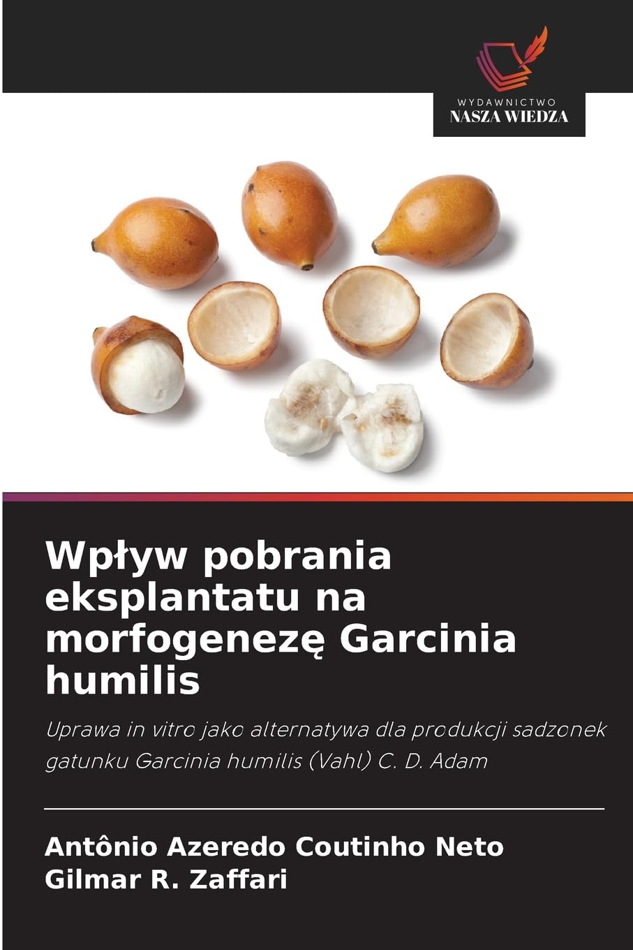 Wp¿yw pobrania eksplantatu na morfogenez¿ Garcinia humilis Natural Sciences