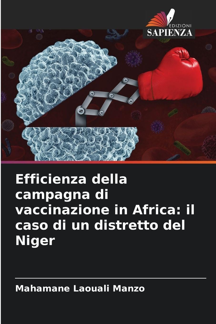 Efficienza della campagna di vaccinazione in Africa: il caso di un distretto del Niger Medicine