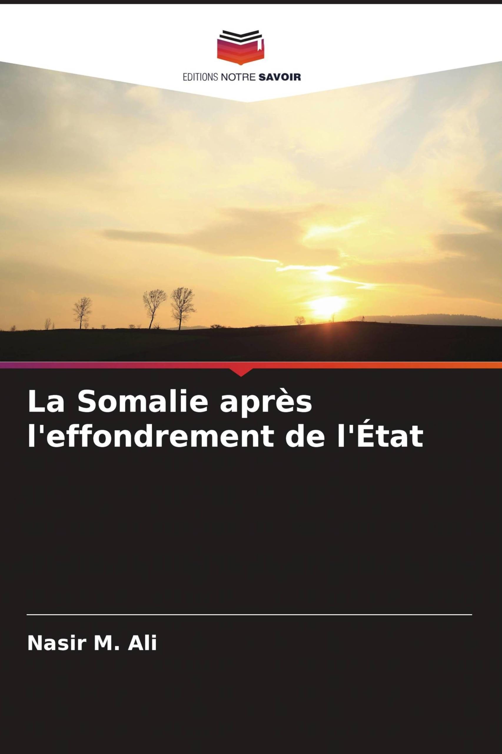 La Somalie après l'effondrement de l'État Law