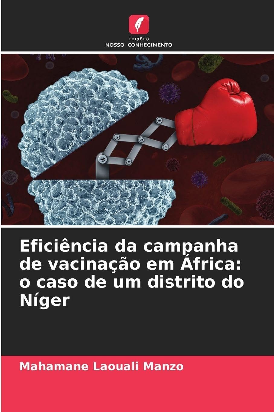 Eficiência da campanha de vacinação em África: o caso de um distrito do Níger Medicine