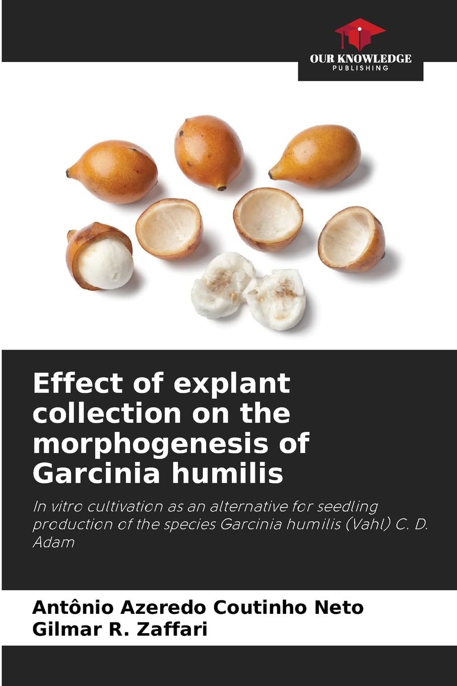 Effect of explant collection on the morphogenesis of Garcinia humilis Natural Sciences