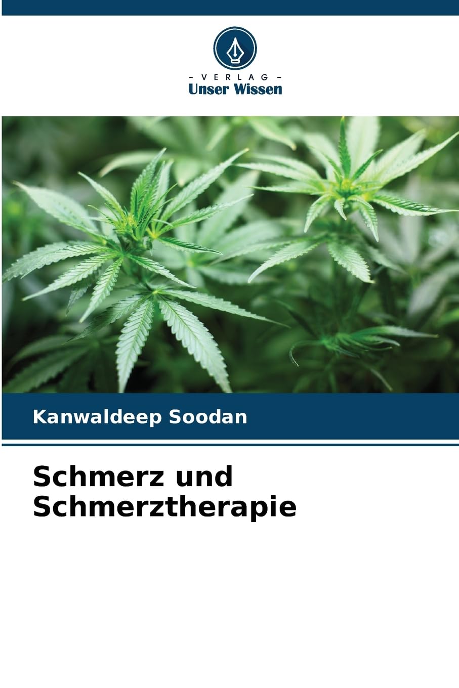 Schmerz und Schmerztherapie Medicine