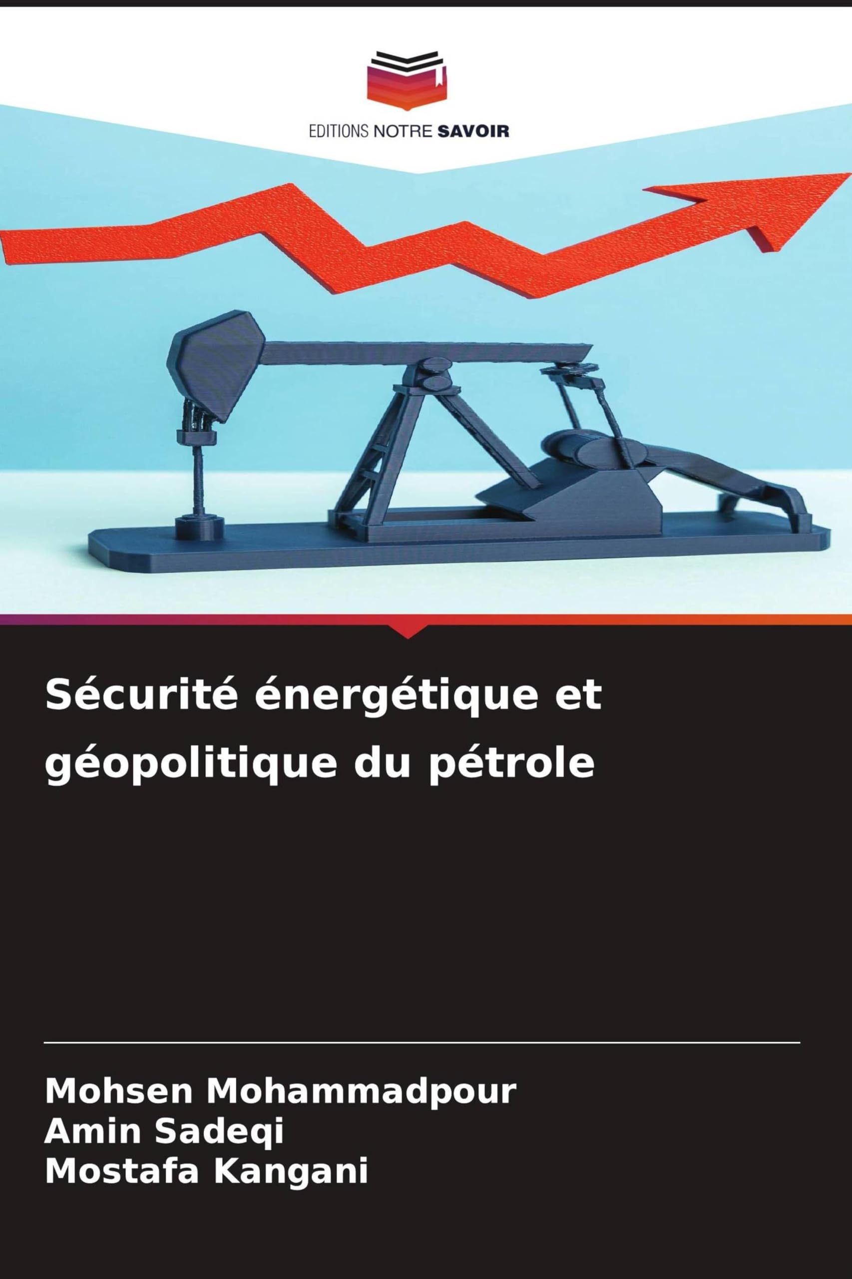 Sécurité énergétique et géopolitique du pétrole: DE Business & Technology