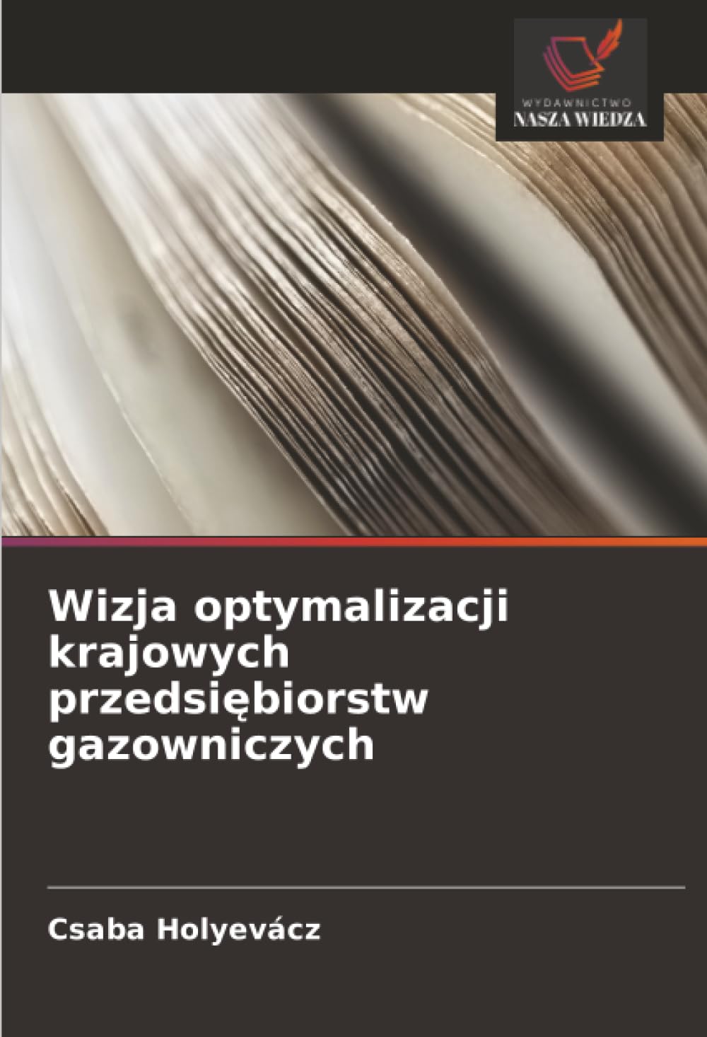 Wizja optymalizacji krajowych przedsi¿biorstw gazowniczych Law