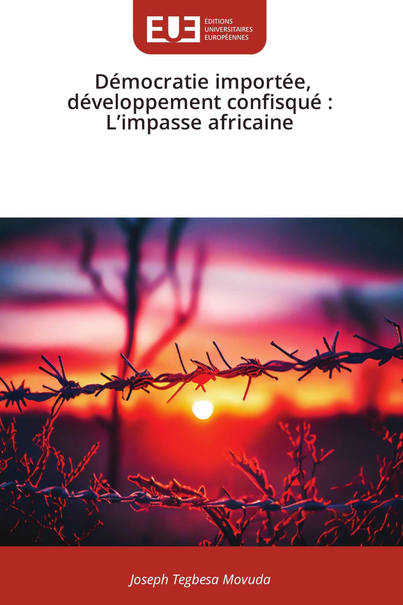 Démocratie importée, développement confisqué : L'impasse africaine: DE Books