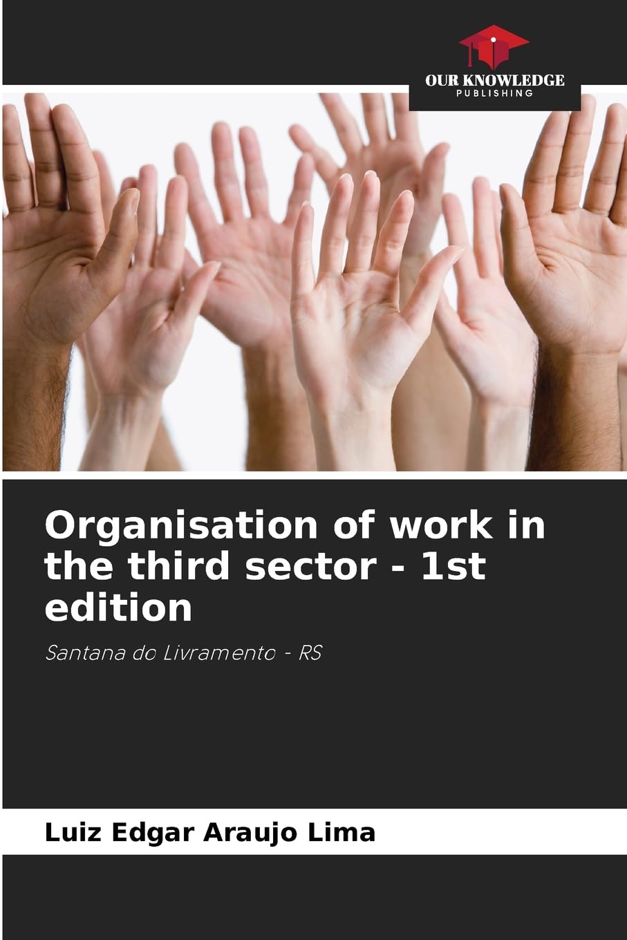 Organisation of work in the third sector - 1st edition Business, Finance & Career