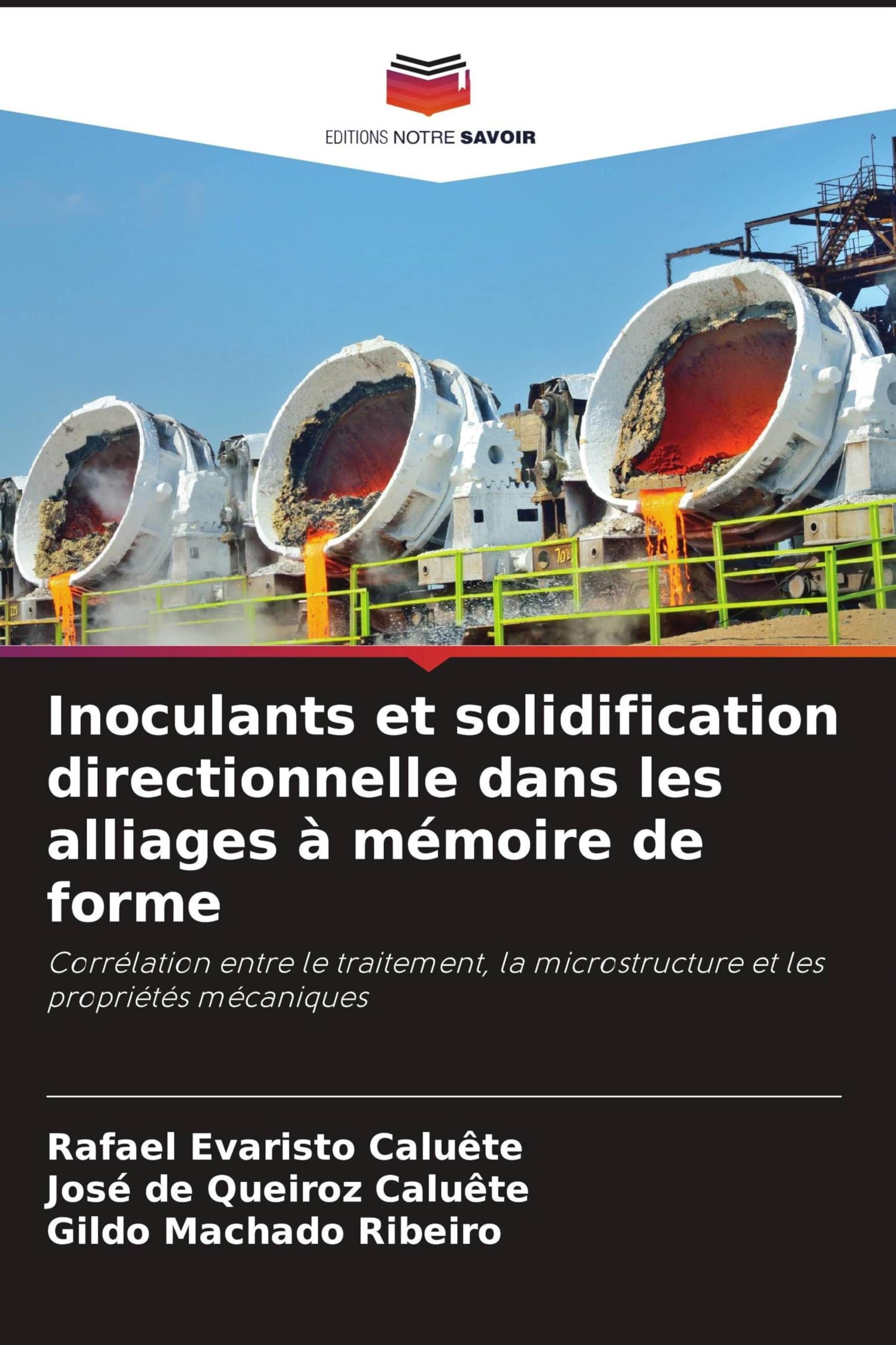 Inoculants et solidification directionnelle dans les alliages à mémoire de forme: Corrélation entre le traitement, la microstructure et les propriétés mécaniques book