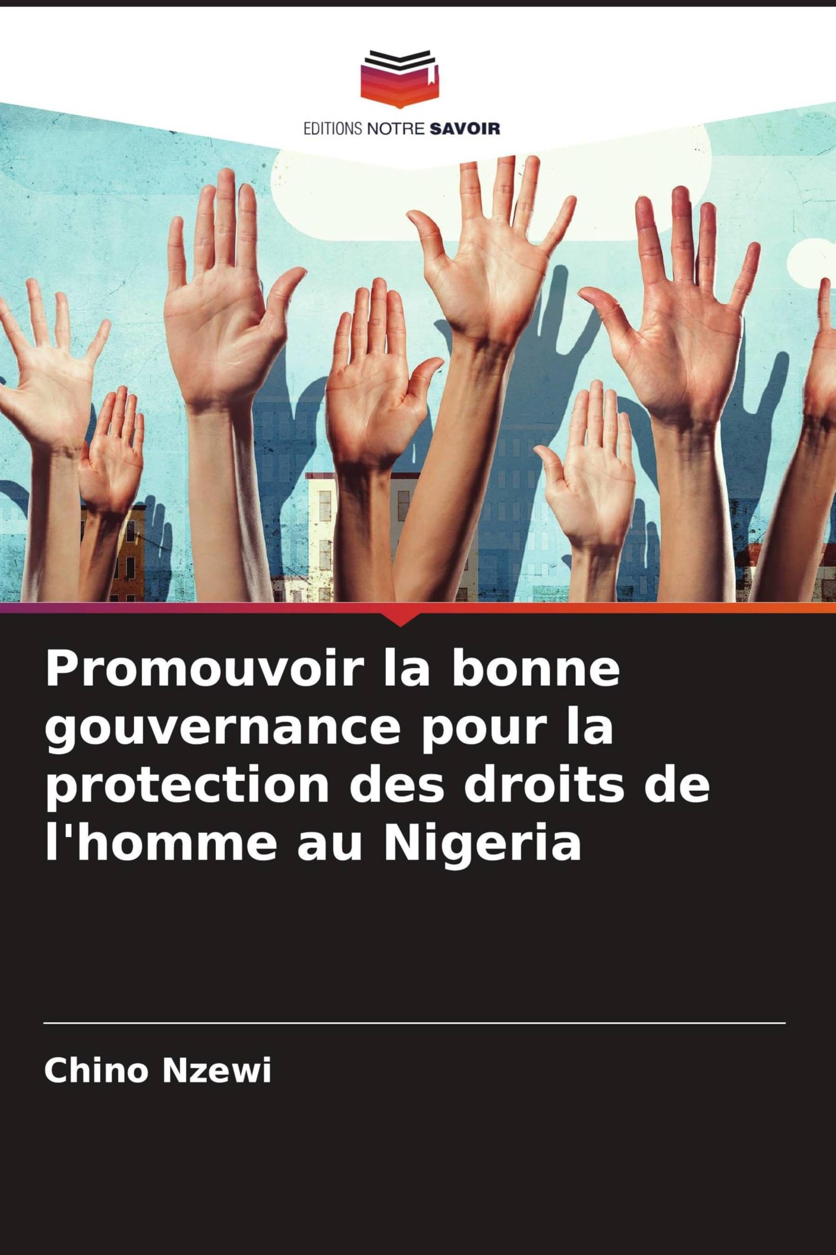 Promouvoir la bonne gouvernance pour la protection des droits de l'homme au Nigeria Law