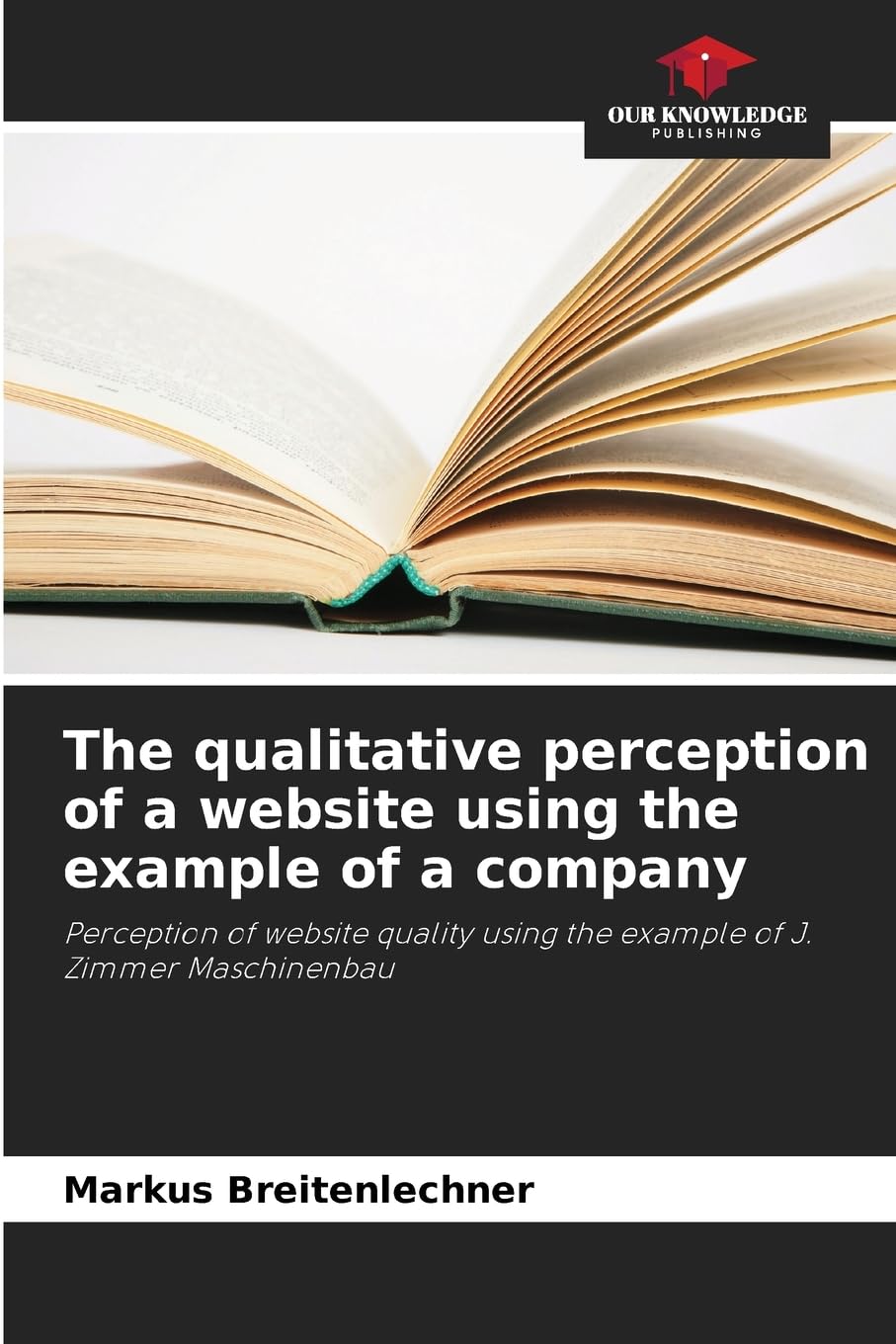 The qualitative perception of a website using the example of a company Law