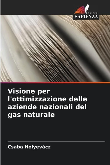 Visione per l'ottimizzazione delle aziende nazionali del gas naturale Law