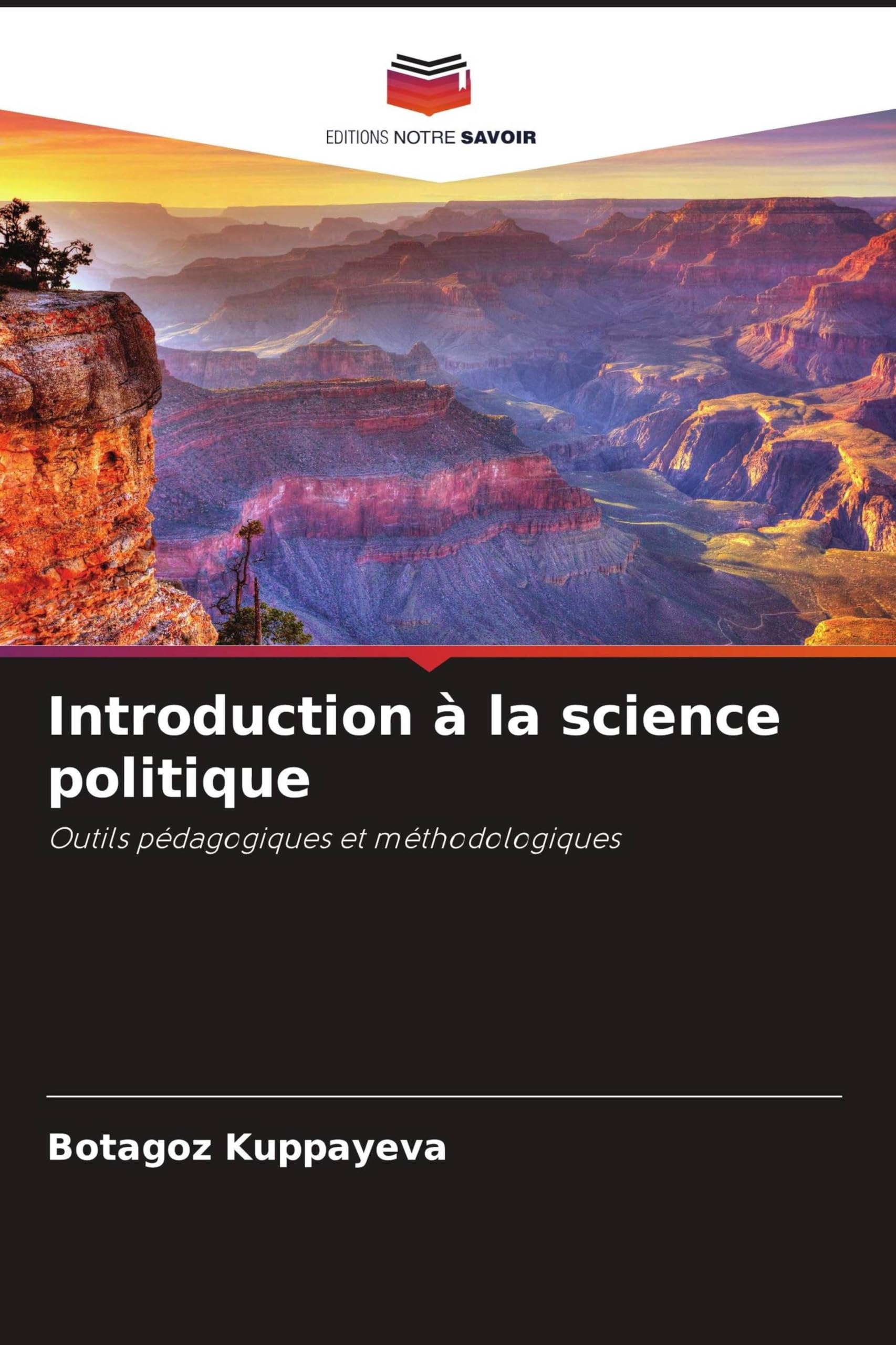 Introduction à la science politique: Outils pédagogiques et méthodologiques Law