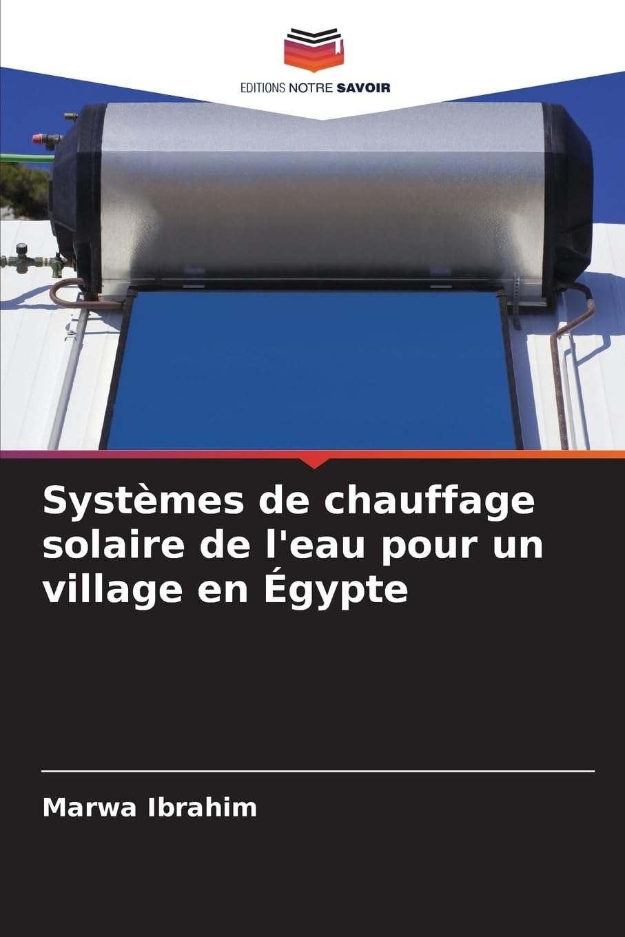 Systèmes de chauffage solaire de l'eau pour un village en Égypte Business & Technology