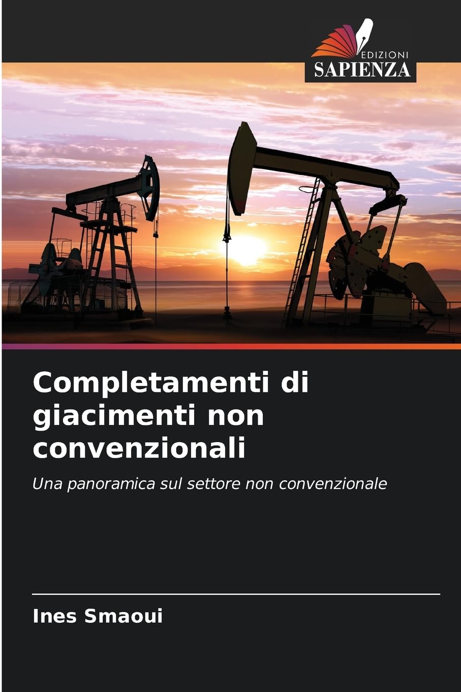 Completamenti di giacimenti non convenzionali Natural Sciences