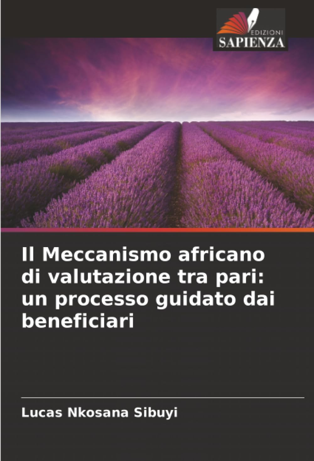 Il Meccanismo africano di valutazione tra pari: un processo guidato dai beneficiari Books