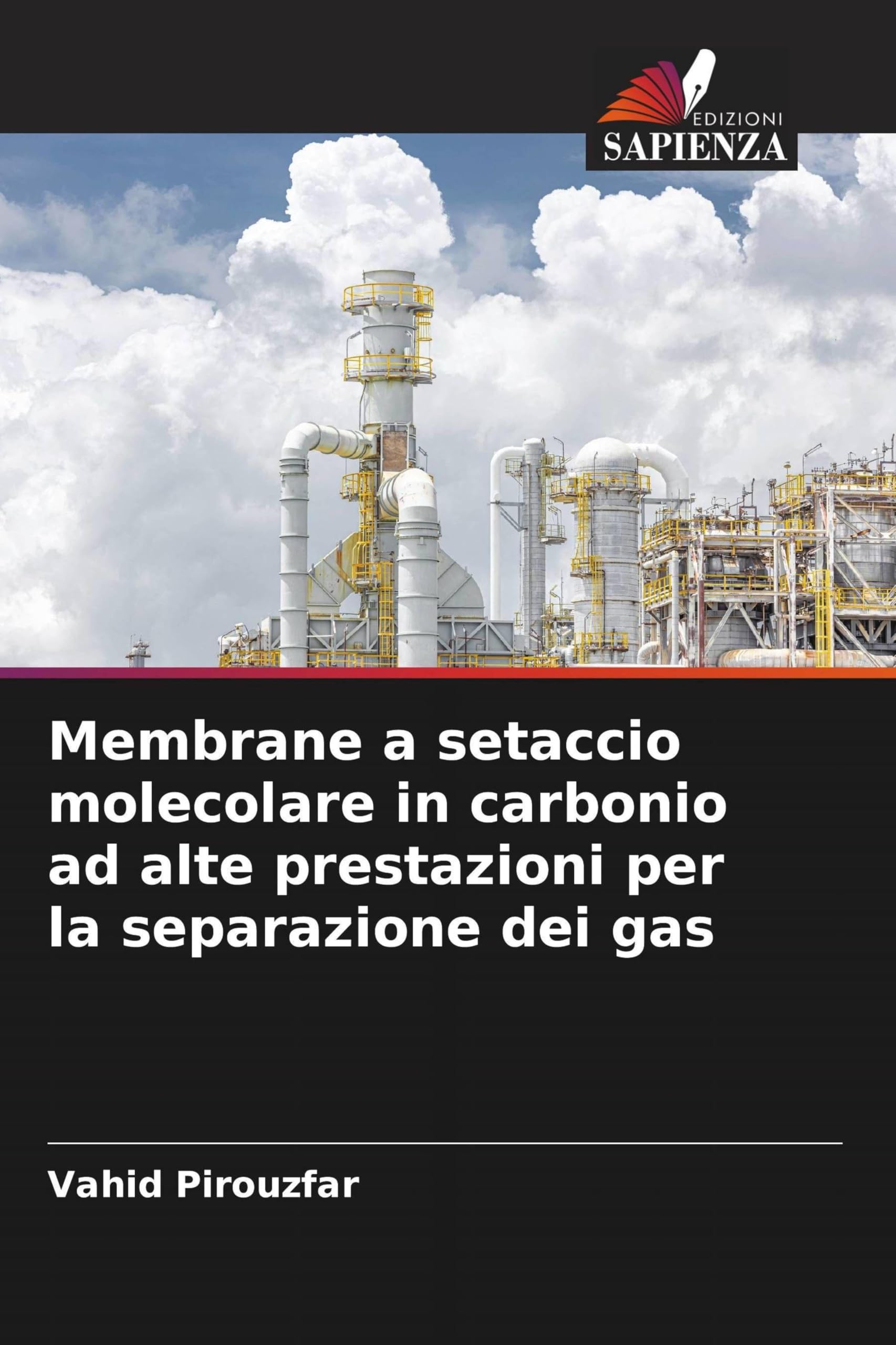 Membrane a setaccio molecolare in carbonio ad alte prestazioni per la separazione dei gas Business & Technology